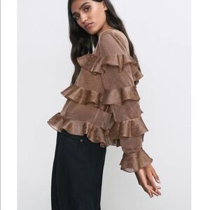Zara ruffle sheer mesh top